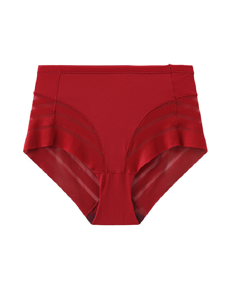 Bragas de tiro alto con encaje y rayas, indetectables